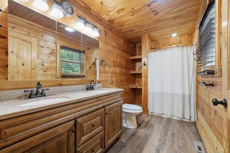 55 Hallee Drive Mineral Bluff GA 30559