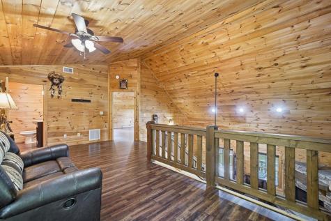 55 Hallee Drive Mineral Bluff GA 30559