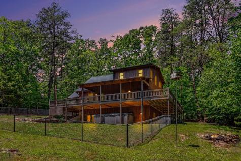 55 Hallee Drive Mineral Bluff GA 30559