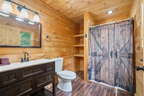 55 Hallee Drive Mineral Bluff GA 30559