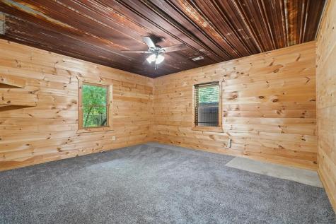 55 Hallee Drive Mineral Bluff GA 30559