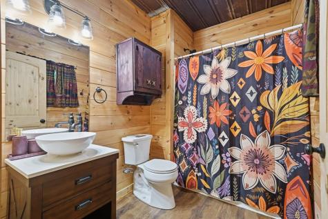 55 Hallee Drive Mineral Bluff GA 30559