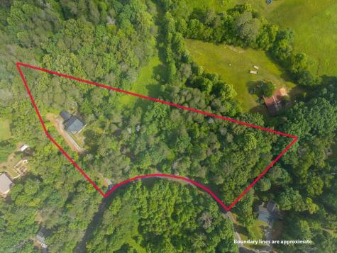55 Hallee Drive Mineral Bluff GA 30559