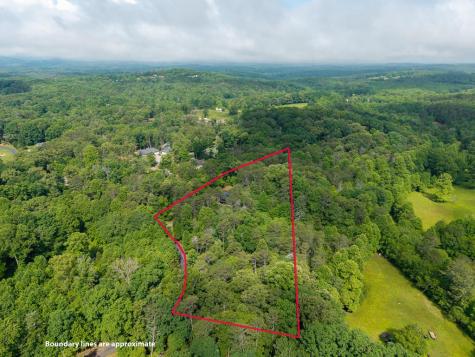 55 Hallee Drive Mineral Bluff GA 30559