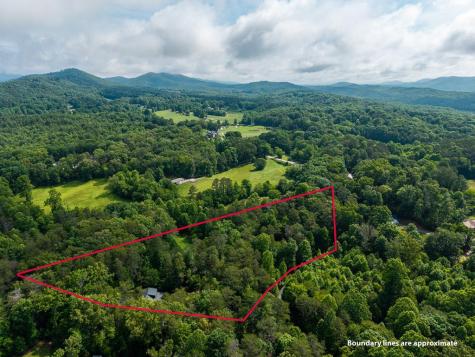 55 Hallee Drive Mineral Bluff GA 30559