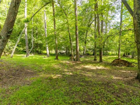 55 Hallee Drive Mineral Bluff GA 30559