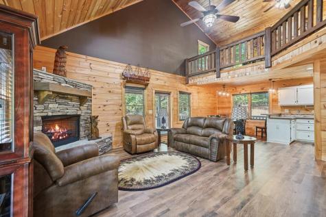 55 Hallee Drive Mineral Bluff GA 30559