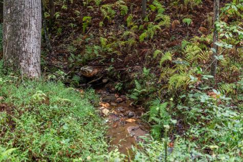 1081 Dills Road Blue Ridge GA 30513