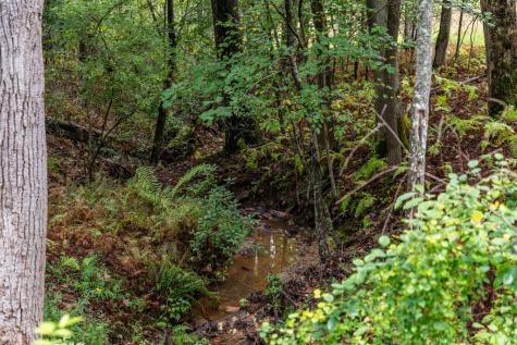 1081 Dills Road Blue Ridge GA 30513