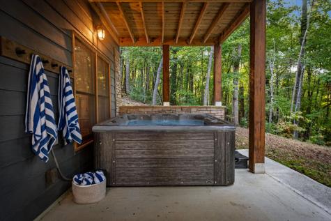 1081 Dills Road Blue Ridge GA 30513