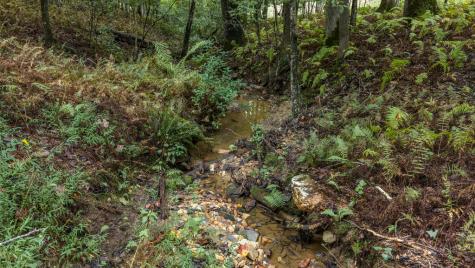 1081 Dills Road Blue Ridge GA 30513