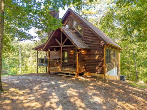 529 Newel Drive Ellijay GA 30541