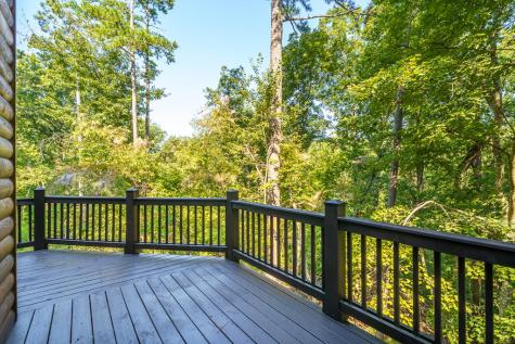 529 Newel Drive Ellijay GA 30541