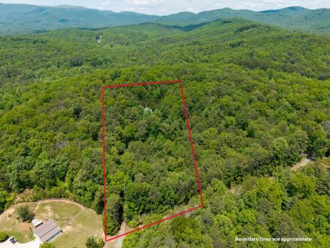 9121 Roy Road Ellijay GA 30536
