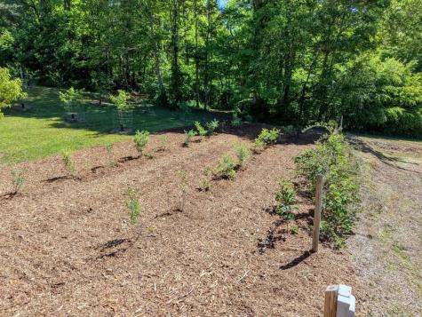 4836 Owltown Road Blairsville GA 30512