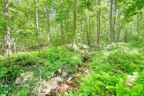 4836 Owltown Road Blairsville GA 30512