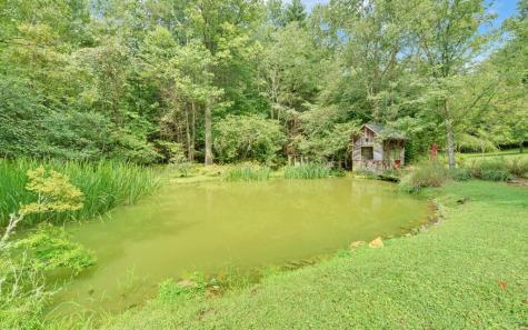 475 Rivercane Road Brasstown NC 28902