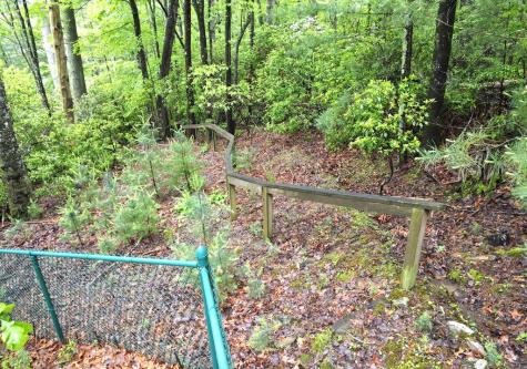 66 Pine Ridge Court Ellijay GA 30536