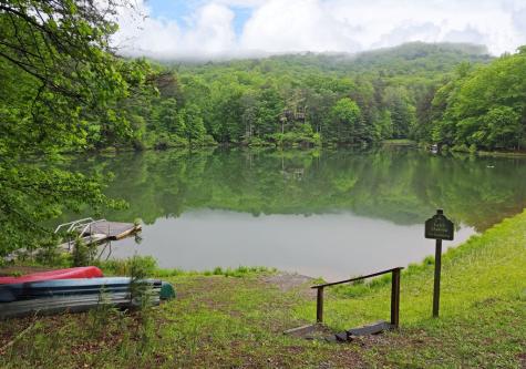 66 Pine Ridge Court Ellijay GA 30536