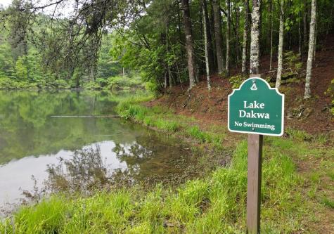 66 Pine Ridge Court Ellijay GA 30536