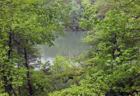 66 Pine Ridge Court Ellijay GA 30536