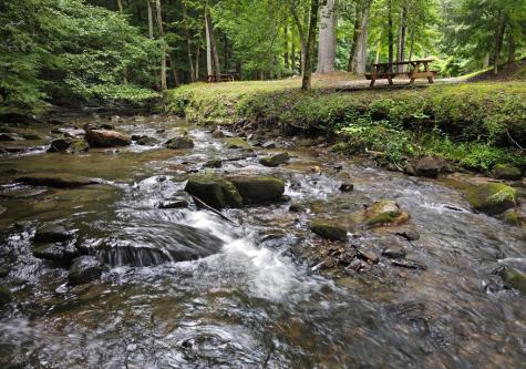 66 Pine Ridge Court Ellijay GA 30536