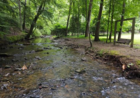 66 Pine Ridge Court Ellijay GA 30536