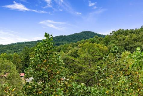 6 Gilliam Road Mineral Bluff GA 30559