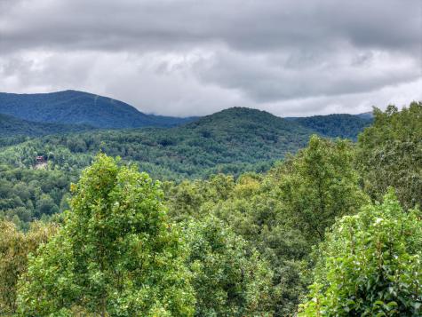 428 Tall Timber Mountain Road Cherry Log GA 30522