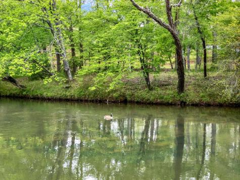 5 W Muller Lane East Ellijay GA 30540