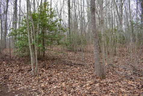 132 Hood Acres Road Young Harris GA 30582