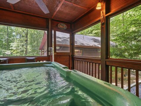 151 Hatchet Trail Cherry Log GA 30522
