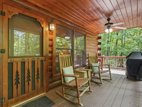 151 Hatchet Trail Cherry Log GA 30522