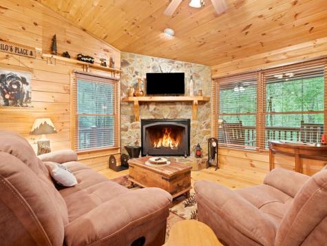 151 Hatchet Trail Cherry Log GA 30522