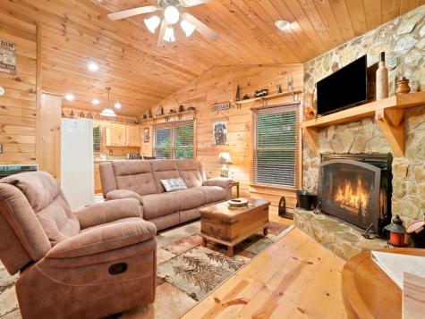 151 Hatchet Trail Cherry Log GA 30522