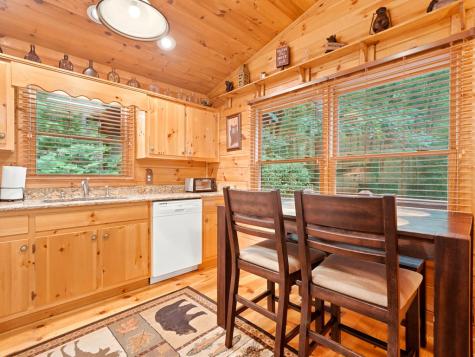 151 Hatchet Trail Cherry Log GA 30522