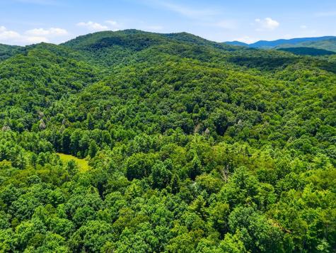 151 Hatchet Trail Cherry Log GA 30522
