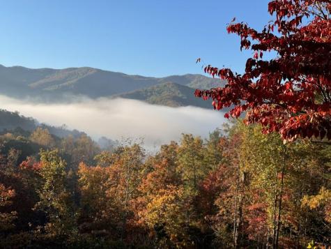 289 Bethabara Way Hayesville NC 28904