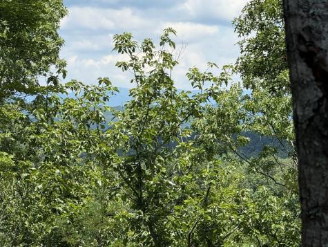 271 Cloud Les Lane Murphy NC 28906