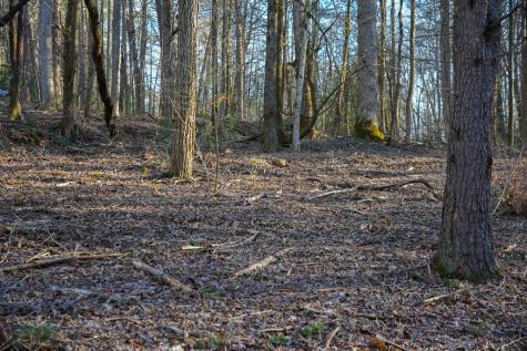 1760 Big Creek Road Blue Ridge GA 30522