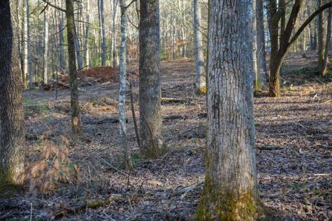 1760 Big Creek Road Blue Ridge GA 30522