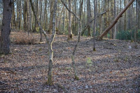 1760 Big Creek Road Blue Ridge GA 30522