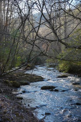 1760 Big Creek Road Blue Ridge GA 30522