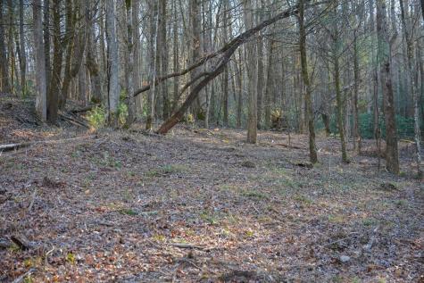 1760 Big Creek Road Blue Ridge GA 30522