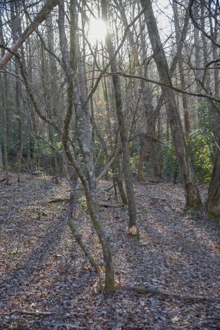 1760 Big Creek Road Blue Ridge GA 30522