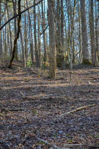 1760 Big Creek Road Blue Ridge GA 30522