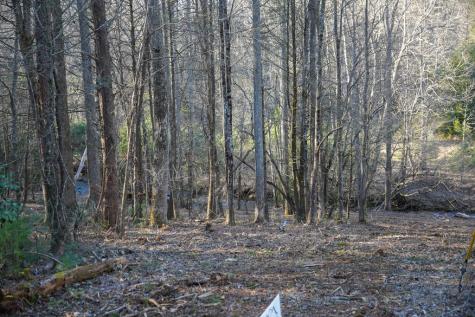 1760 Big Creek Road Blue Ridge GA 30522