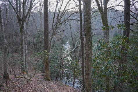 1760 Big Creek Road Blue Ridge GA 30522