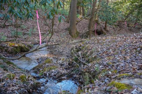 1760 Big Creek Road Blue Ridge GA 30522