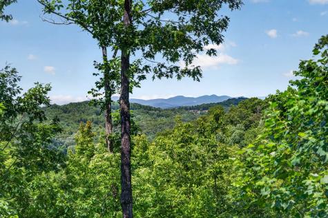 573 Weaver Creek Way Blue Ridge GA 30513
